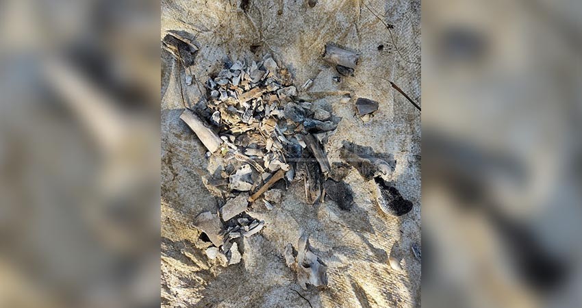 Concluye Brigada Estatal de Búsqueda de personas desaparecidas