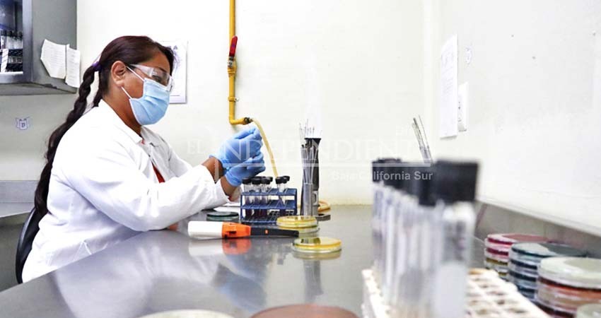 Laboratorio Estatal de Salud Pública es fortaleza para la vigilancia epidemiológica en BCS