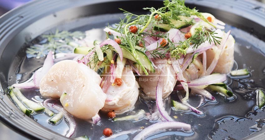 En el último año 350 mil turistas llegaron a Los Cabos solo para disfrutar su gastronomía En el último año 350 mil turistas llegaron a Los Cabos solo para disfrutar su gastronomía
