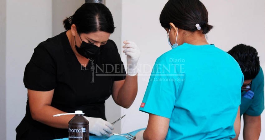 Continúa CEMAC La Paz con las labores de esterilización