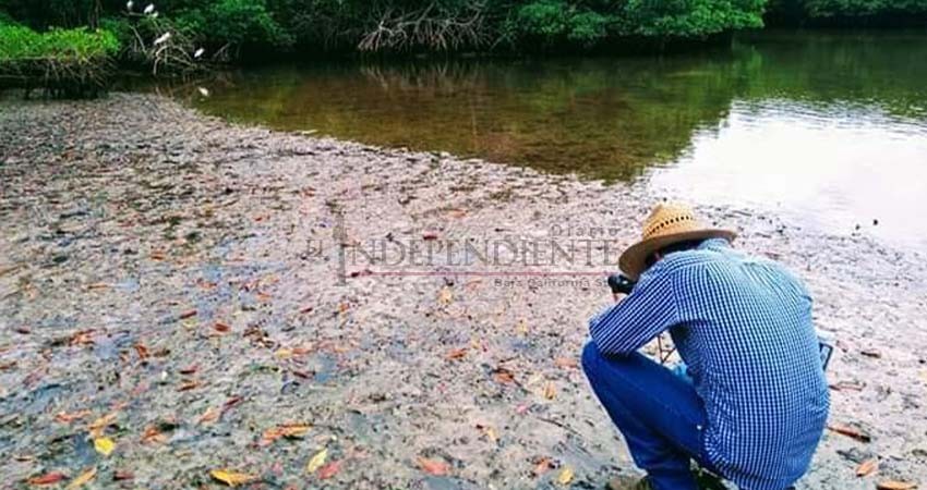 Convoca UABCS al concurso de cartel sobre el tema del agua
