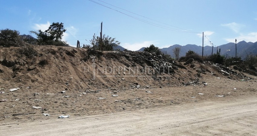 Arroyos en Los Cabos infestados de basura; la ciudadanía es la culpable: Dirección de Ecología Arroyos en Los Cabos infestados de basura; la ciudadanía es la culpable: Dirección de Ecología