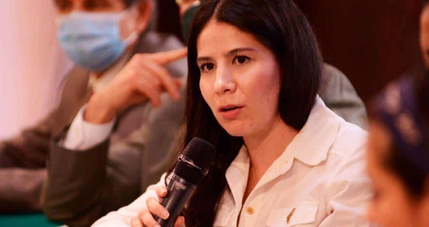 Expulsa PVEM a diputada por votar contra la reforma eléctrica de AMLO Expulsa PVEM a diputada por votar contra la reforma eléctrica de AMLO