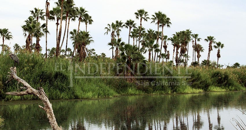 Cuestiona Frente Ciudadano a Oscar Leggs por ignorar propuesta