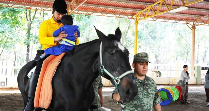 Sedena rehabilitará a niños con caballos; pide 300 mdp