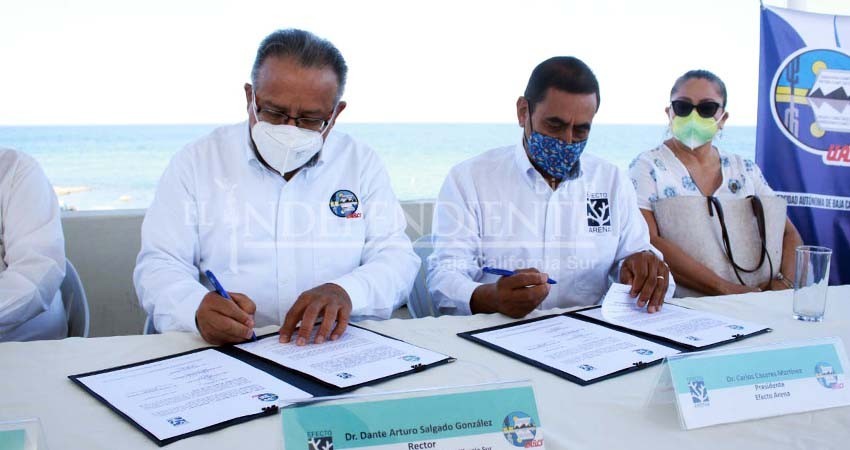 Se suma UABCS a trabajos de conservación y restauración ambiental de la asociación Efecto Arena