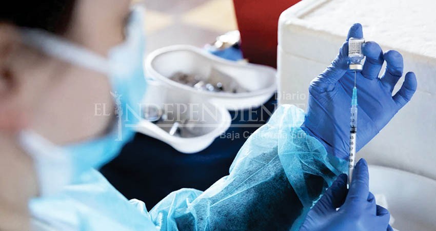 No está autorizada una cuarta dosis de vacuna contra Covid-19: SSA No está autorizada una cuarta dosis de vacuna contra Covid-19: SSA