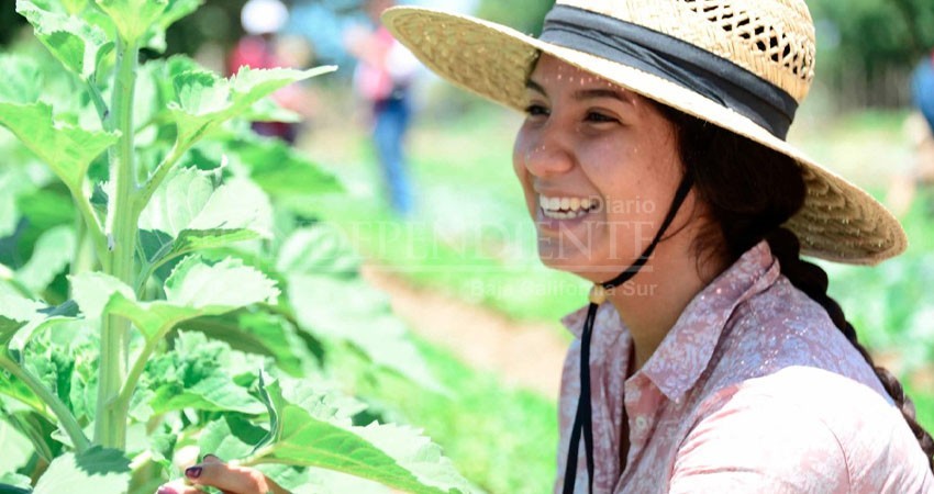 UABCS anuncia actividad de divulgación científica por el Día Internacional de La Tierra