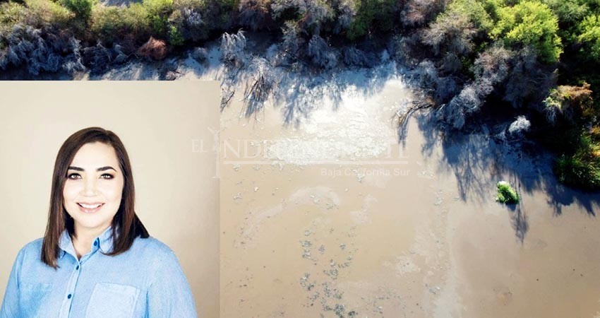 Si detienen vertedero de aguas negras en su terreno afectarían a la población: Presidenta Municipal Si detienen vertedero de aguas negras en su terreno afectarían a la población: Presidenta Municipal