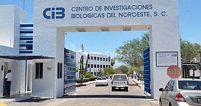 Por violaciones de contrato de nueva cuenta, emplaza sindicato a huelga en CIBNOR