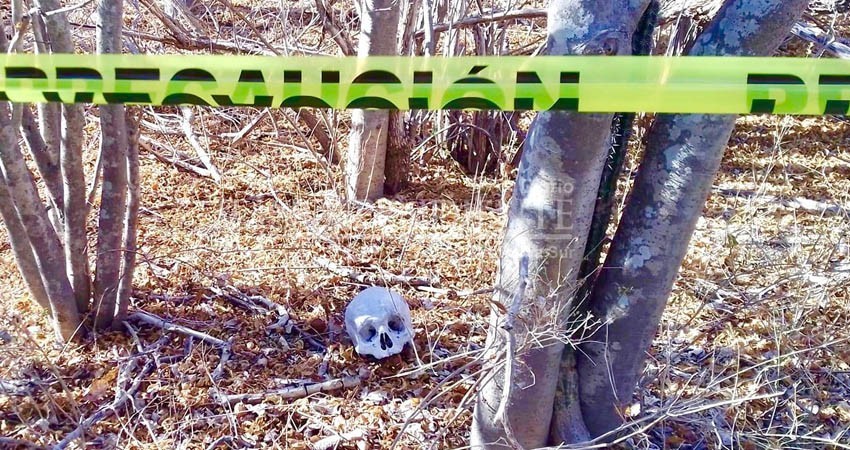 Ubican restos óseos en las inmediaciones de Calafia en La Paz Ubican restos óseos en las inmediaciones de Calafia en La Paz