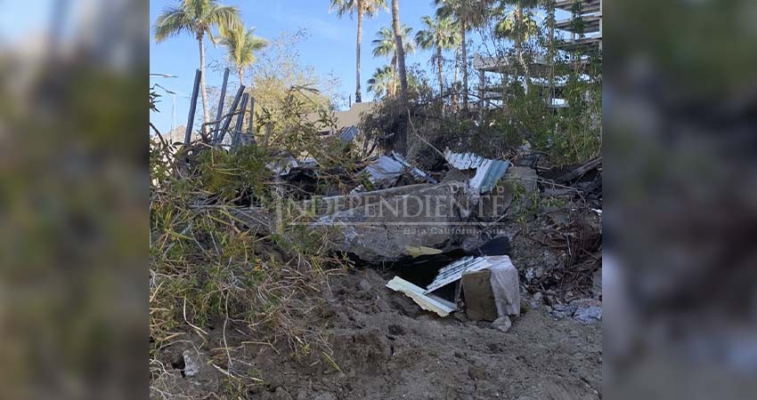 Entre escombros están muriendo gatos en hotel abandonado de CSL