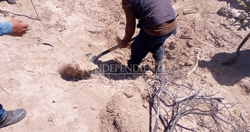 Suman 19 osamentas localizadas en fosas clandestinas de Las Barranca