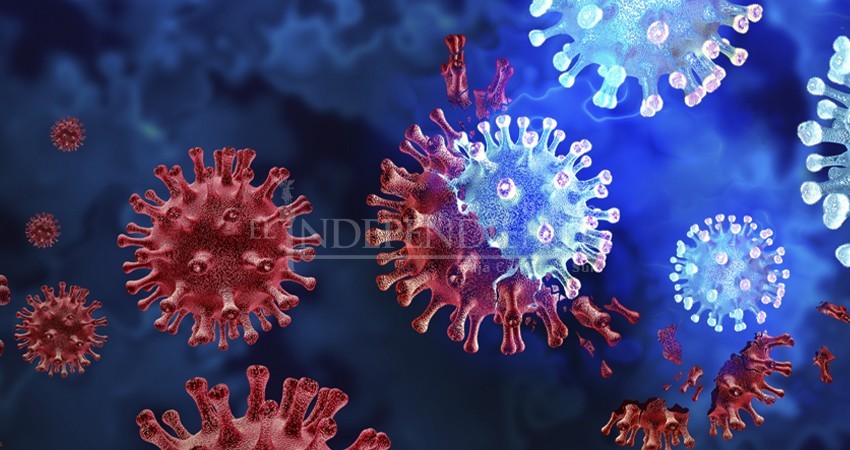 Hasta 27% más rápida de contagiar la BA.2 Omicrón