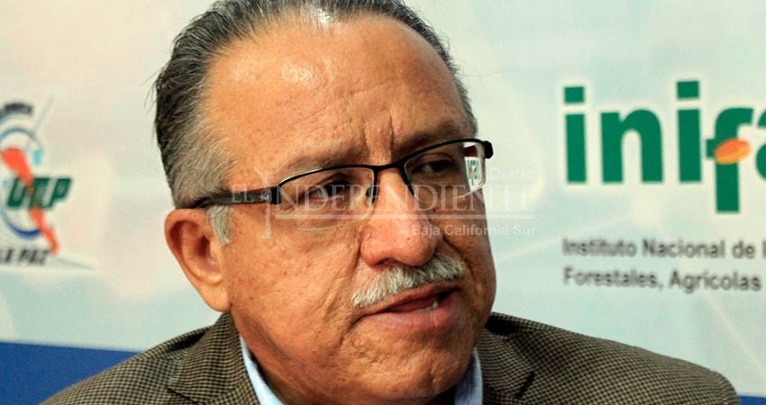 Con dos carreras a distancia, UABCS aumentará su oferta educativa Con dos carreras a distancia, UABCS aumentará su oferta educativa