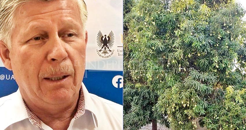 Invierte SEPADA 22 millones pesos contra mosca de la fruta Invierte SEPADA 22 millones pesos contra mosca de la fruta