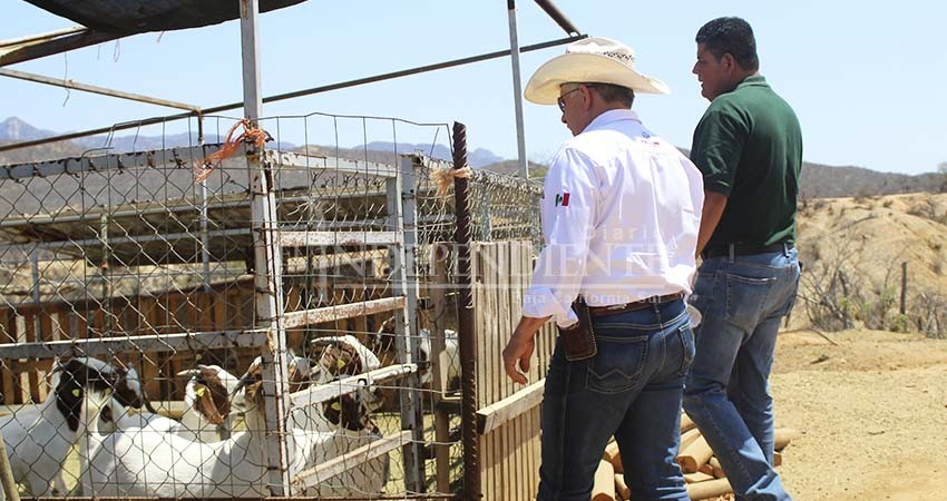 Atiende SEPADA comunidades rurales de Los Cabos