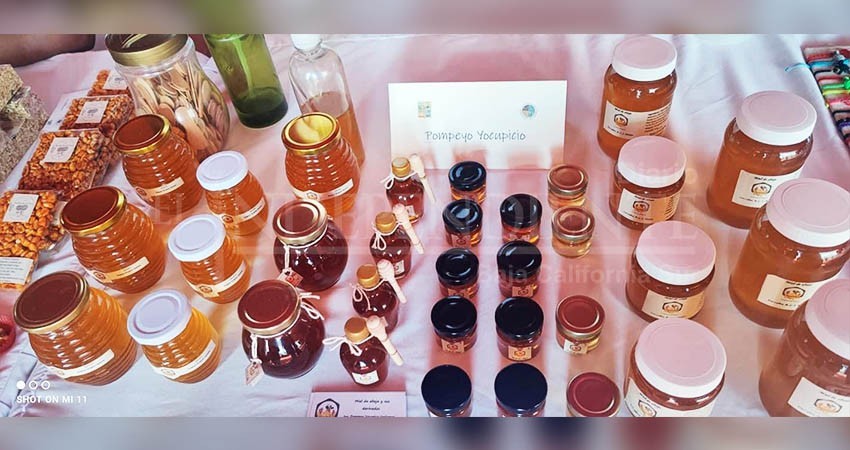 Por primera vez productores y artesanos de Los Cabos serán expuestos en la plataforma Artesanal MX