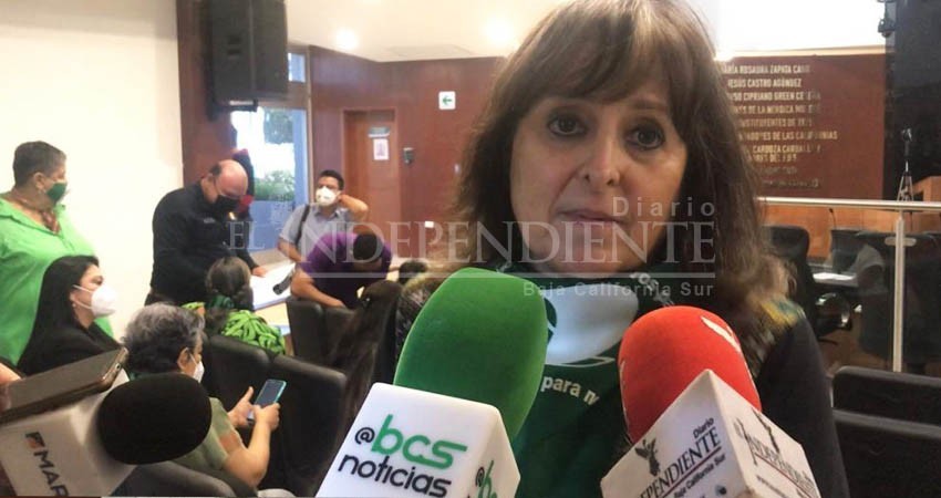 Los servicios de salud para la interrupción de embarazos ya están: Mónica Jasis Los servicios de salud para la interrupción de embarazos ya están: Mónica Jasis