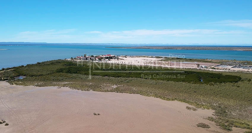 Destina gobierno estatal sólo 7.7 mdp para protección ambiental de todo BCS: CEMDA