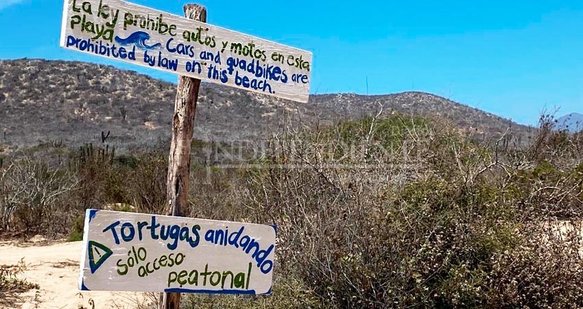 Se ampliará hasta 139 km la vigilancia ecológica de la zona litoral de Los Cabos Se ampliará hasta 139 km la vigilancia ecológica de la zona litoral de Los Cabos