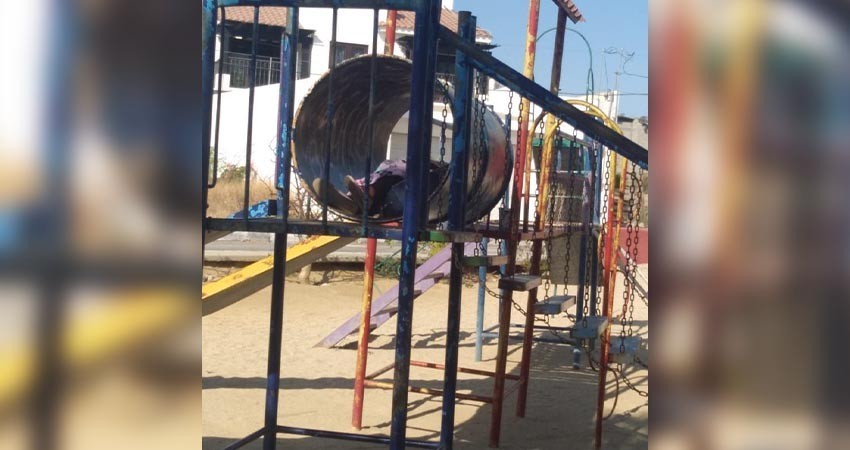 Denuncian vecinos del Chamizal  a huésped incómodo en parque público