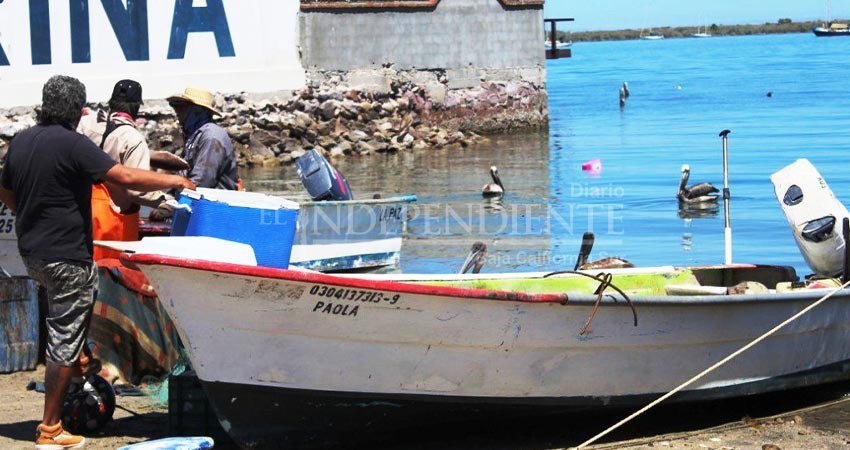 Renovarán padrón para programa seguro de vida a pescadores en BCS Renovarán padrón para programa seguro de vida a pescadores en BCS