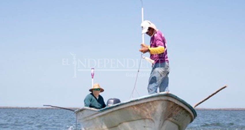 Detectan coyotaje entre pescadores, rentan permisos