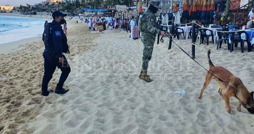 Coordinan esfuerzos Ayto Los Cabos y CCE para ampliar la seguridad en playa El Médano Coordinan esfuerzos Ayto Los Cabos y CCE para ampliar la seguridad en playa El Médano