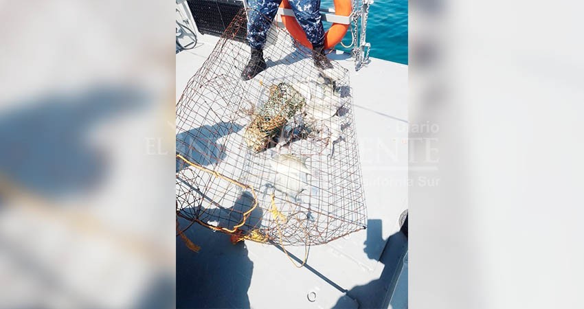 Detectan pesca ilegal en Cabo del Este: FONMA