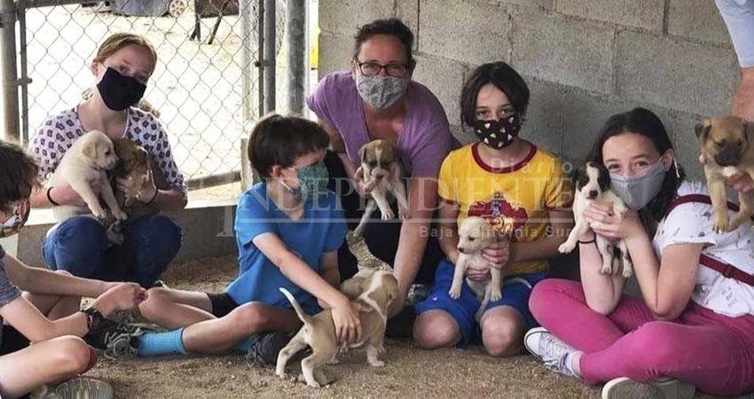 Dog Prana construye refugio contra huracanes para perros de la calle