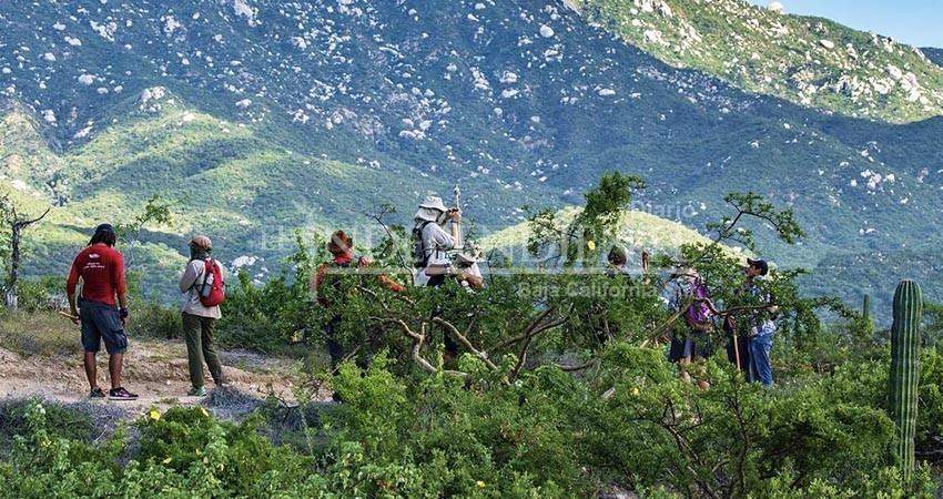 Que La Paz sea declarada “municipio libre de minería”, piden al XVII Ayuntamiento