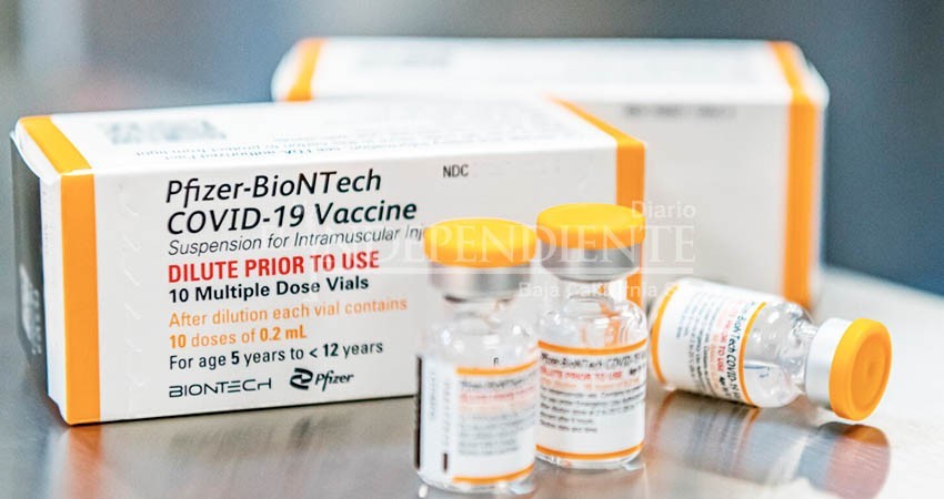 Pocos los menores de 5 a 11 años en BCS registrados para recibir la vacuna contra Covid Pocos los menores de 5 a 11 años en BCS registrados para recibir la vacuna contra Covid