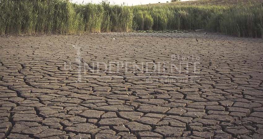 Evalúan estrategias para evitar afectaciones a familias, por estrés hídrico Evalúan estrategias para evitar afectaciones a familias, por estrés hídrico