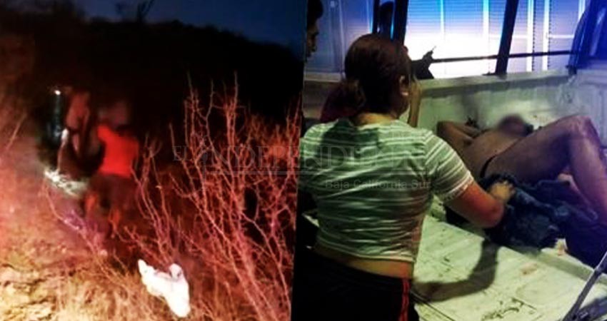 700 abejas picaron a un joven en la colonia Las Californias de La Paz