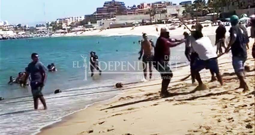 Fueron vetados comerciantes protagonistas de pelea en Playa El Médano