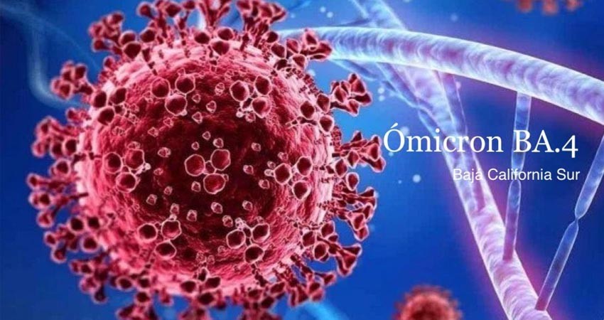 Ya circula en BCS la subvariante BA.4 de Covid