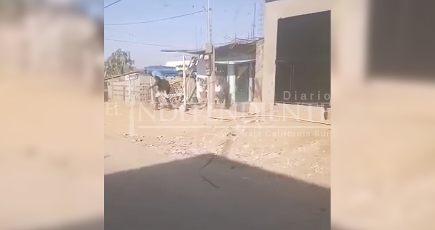 Robos a plena luz del día en colonia Tierra y Libertad de CSL