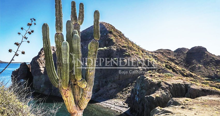 Recursos naturales, principal activo de Baja California Sur