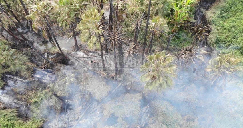 5 predios afectados en pérdida parcial y uno total tras incendio en Todos Santos