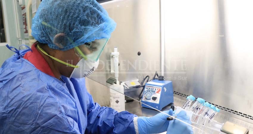 Por sospecha en BCS de cólera no toxigénica, SSA envío muestras al laboratorio federal