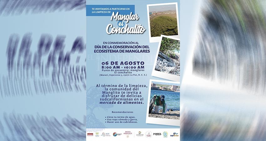 Guardianas del Conchalito celebrarán Día Internacional del Manglar con limpieza Guardianas del Conchalito celebrarán Día Internacional del Manglar con limpieza