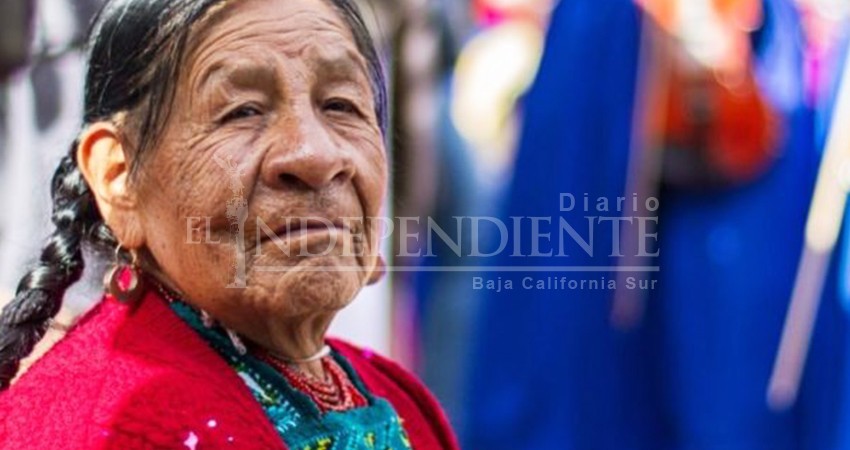 Falta avanzar en BCS en el tema de inclusión para pueblos indígenas