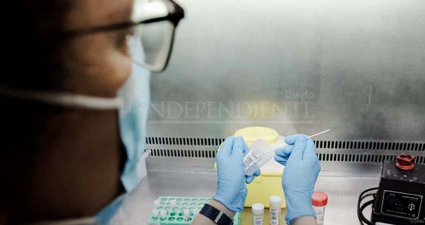 BCS sin registro de nuevos casos de viruela del mono BCS sin registro de nuevos casos de viruela del mono