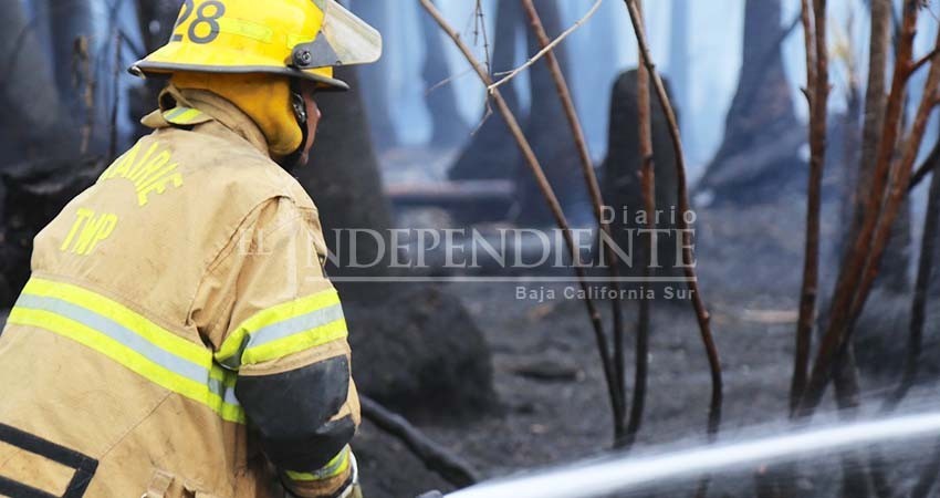 Alrededor de 15 hectáreas afectadas por incendio en Santiago Alrededor de 15 hectáreas afectadas por incendio en Santiago