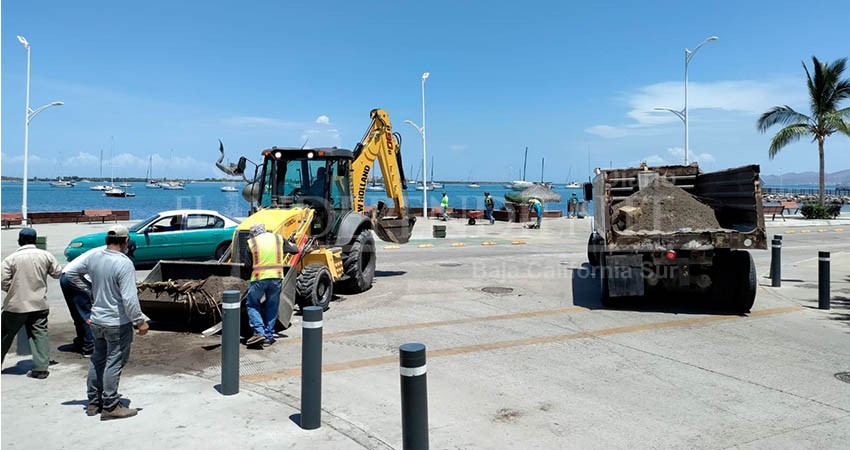 Realiza Servicios Públicos limpieza emergente en malecón de La Paz