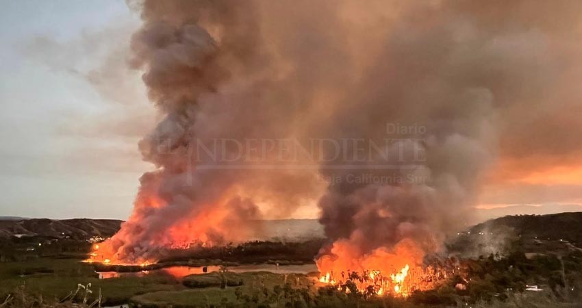 Incendios en BCS son provocados por ciudadanos