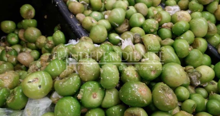 Supermercado en CSL vende verdura putrefacta a consumidores