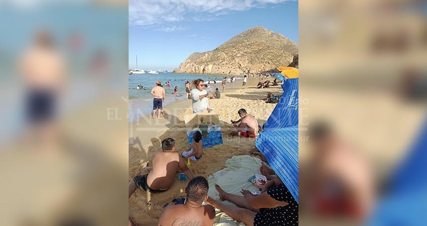 Ante llegada de tortugas marinas, refuerza Zofemat Los Cabos jornadas de concientización en playas