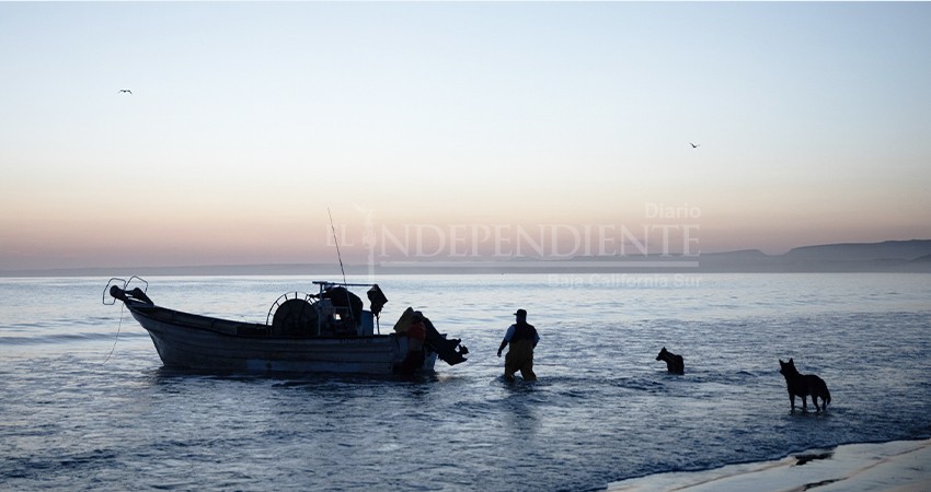 No descarta gobernador expropiación de terrenos para electrificar a San Juanico